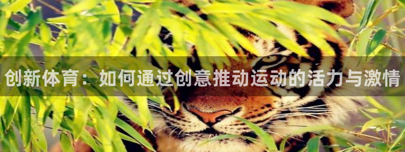 凯发官网下载平台注册要钱吗是真的吗：创新体育：如何通