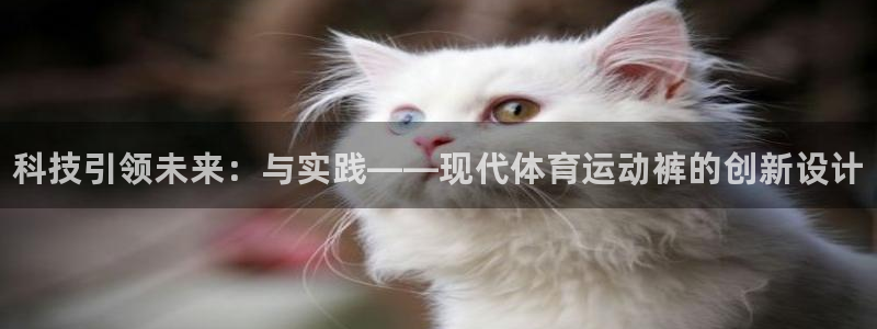 凯发官方正版app集团logo：科技引领未来：与实践