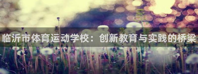 凯发官方正版app官网：临沂市体育运动学校：创新教育