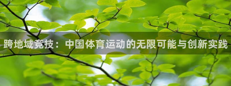 凯发官网下载平台注册：跨地域竞技：中国体育运动的无限