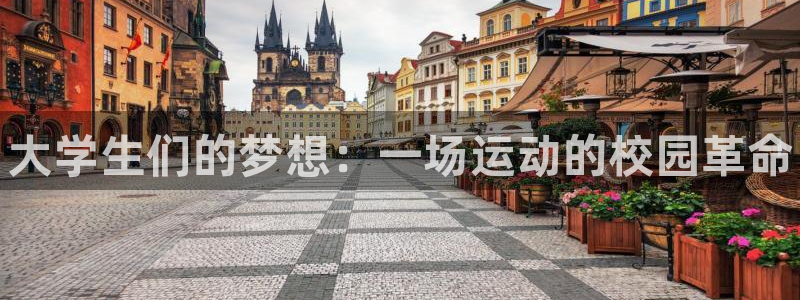 凯发官网下载招商电话号码是多少号：大学生们的梦想：一