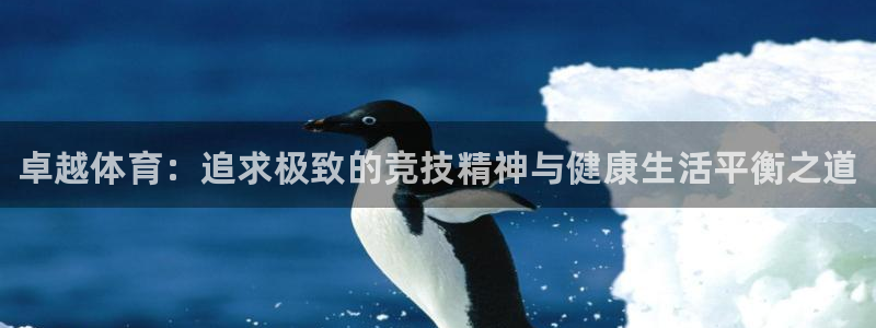 凯发官方集团官网：卓越体育：追求极致的竞技精神与健康生活平衡