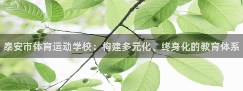 凯发官方正版app开户：泰安市体育运动学校：构建多元