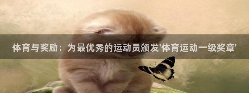 凯发官方正版app集团E.ON：体育与奖励：为最优秀