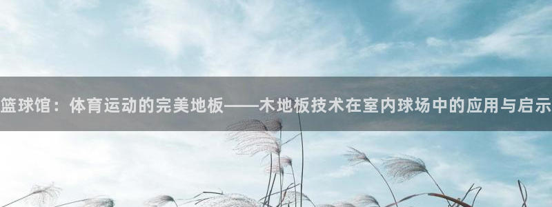 凯发官网下载平台注册流程视频：篮球馆：体育运动的完美