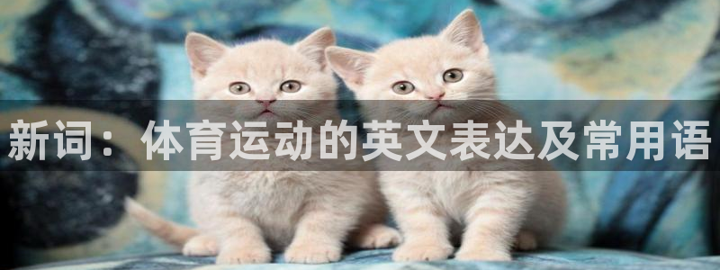 凯发官方正版app娱乐首页网站大全：新词：体育运动的