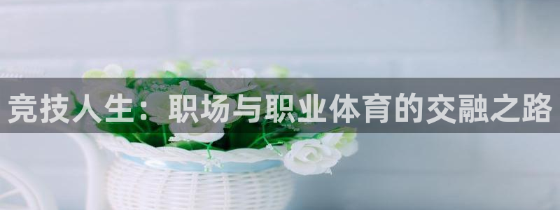 凯发官方正版app娱乐是那个系列的台子：竞技人生：职