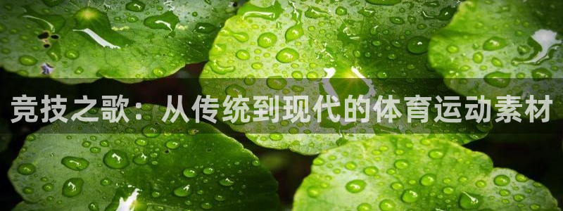凯发官网下载招商电话号码查询是多少：竞技之歌：从传统