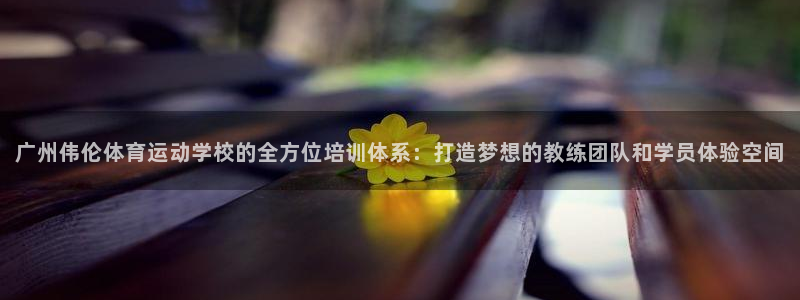 凯发官方正版app神州：广州伟伦体育运动学校的全方位