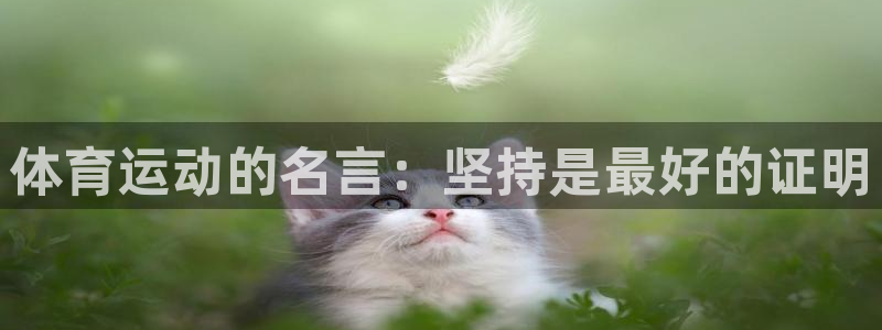 凯发官方正版app集团简介：体育运动的名言：坚持是最好的证明