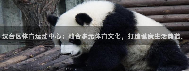凯发官网下载注册：汉台区体育运动中心：融合多元体育文化，打造