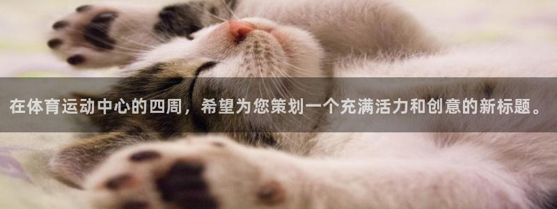 凯发官网下载软件：在体育运动中心的四周，希望为您策划一个充满