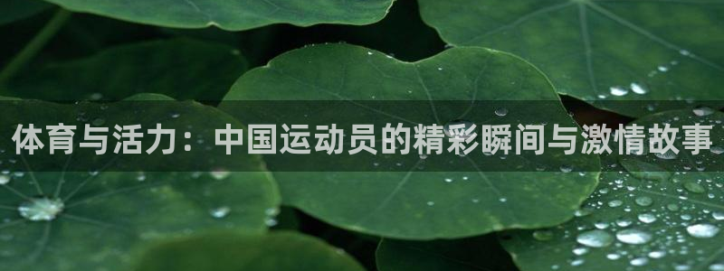 凯发官网下载招商电话号码：体育与活力：中国运动员的精彩瞬间与