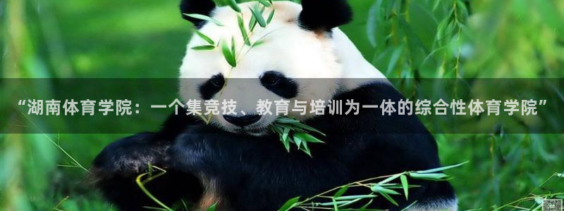 凯发官网下载招商电话是多少号码