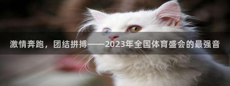 凯发官方正版app开户：激情奔跑，团结拼搏——2023年全国