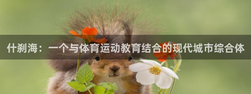 凯发官网下载平台是正规平台吗:什刹海:一个与体育运动教育结合