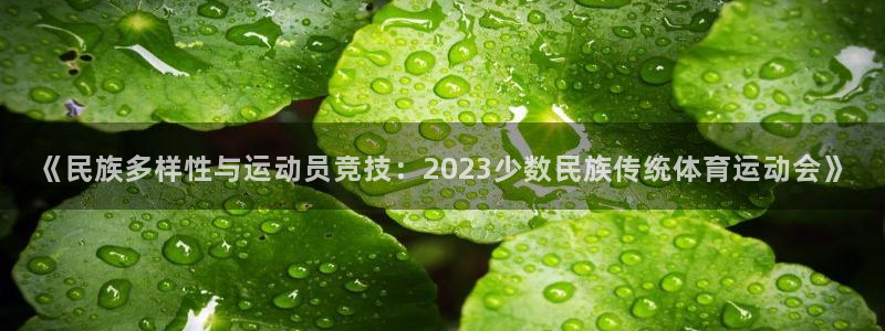 凯发官网下载招商电话地址查询：《民族多样性与运动员竞技：20