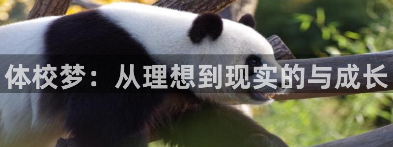 凯发官网下载招商电话号码是多少啊